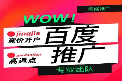 百度SEO推广策略解析：某知名企业的成功经验